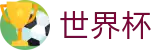 FIFA世界杯官方授权网站 - 世界杯走地皇官网入口